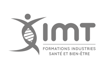Logo gris IMT